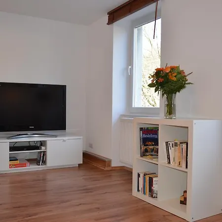 Apartment Neckarblick - Altstadt Heidelberg