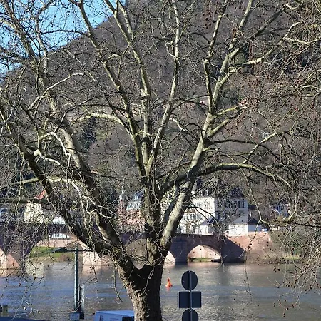 Neckarblick - Altstadt Heidelberg
